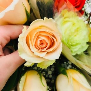 Meet your Posher, Olive